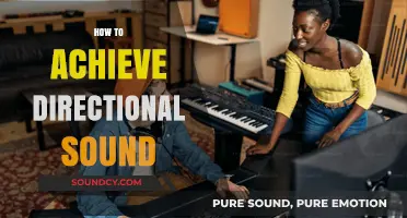 Mastering Directional Sound: Techniques for Immersive Audio Experiences