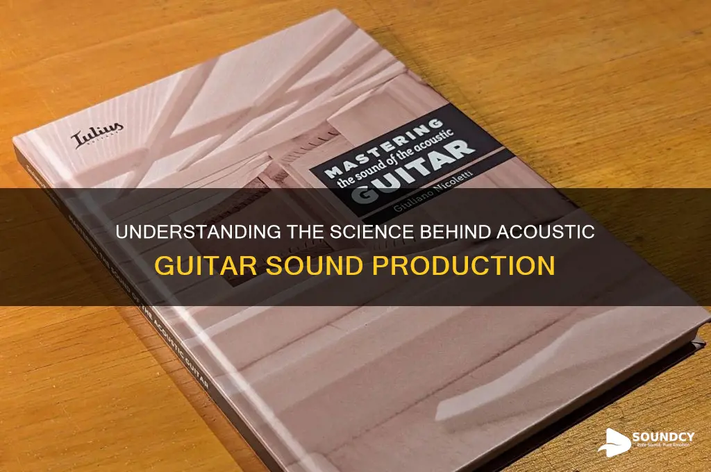 how to acoustic guitars produce sound
