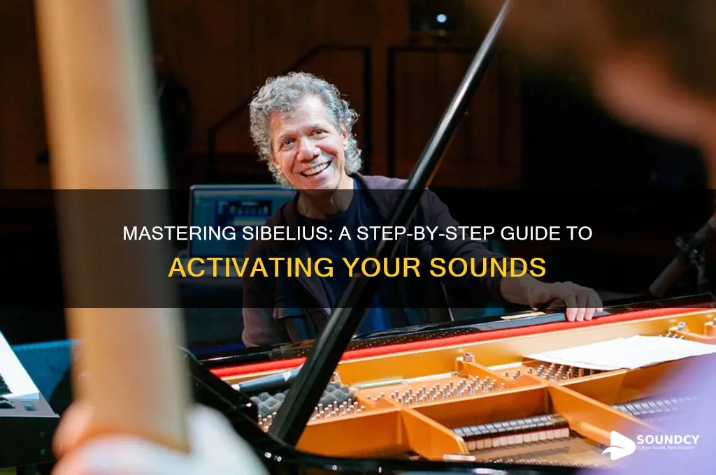 how to activate sibelius sounds
