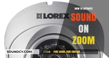 Quick Guide: Activating Sound on Zoom for Seamless Communication