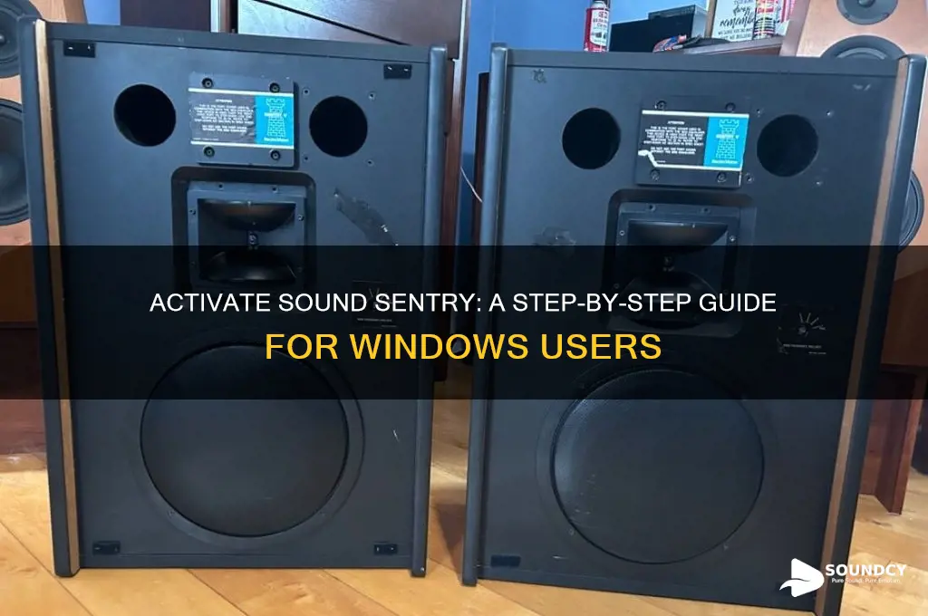 how to activate sound sentry