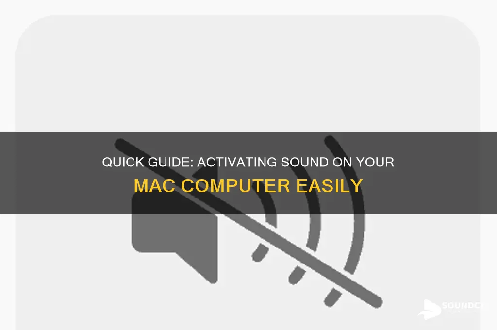 how to activate the sound on my computer mac