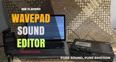 Activate WavePad Sound Editor: A Quick and Easy Step-by-Step Guide