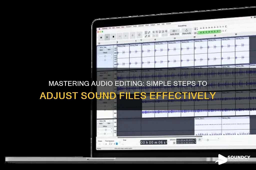 how to addjsut sound audio file