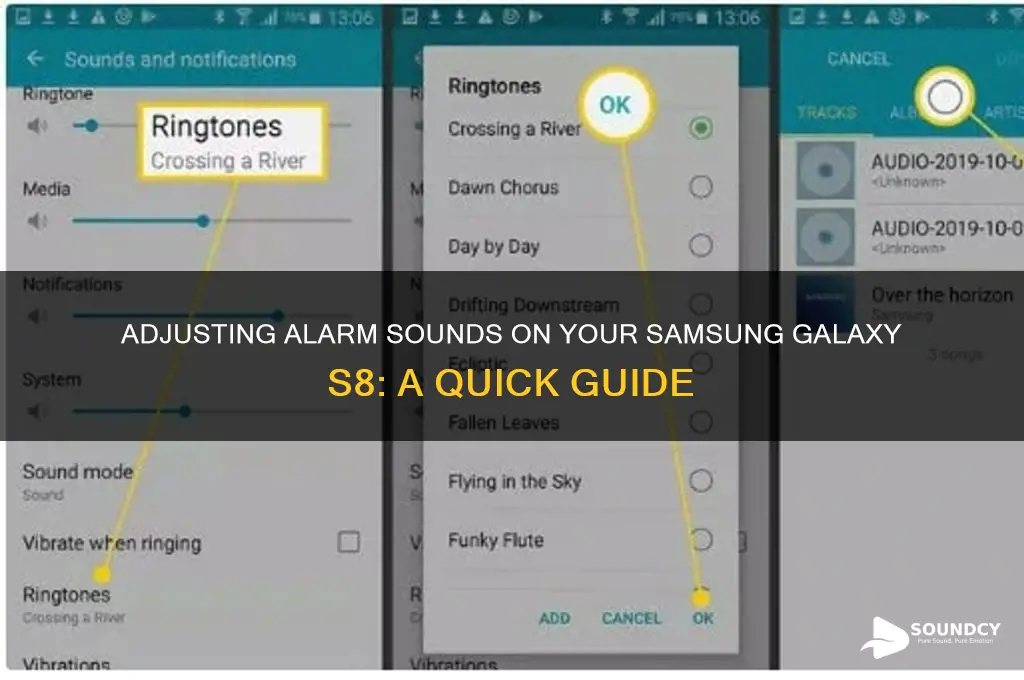 how to adjust alarm sounds s8