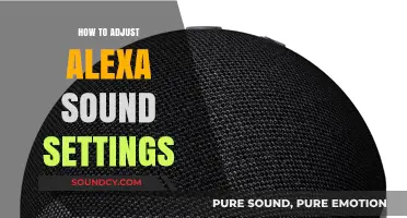 Master Your Alexa: Easy Steps to Adjust Sound Settings