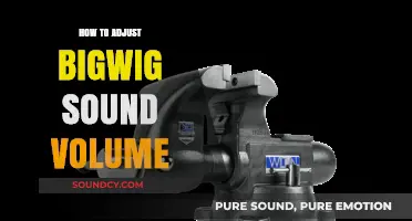 Mastering Bigwig Sound: Simple Steps to Adjust Volume Levels