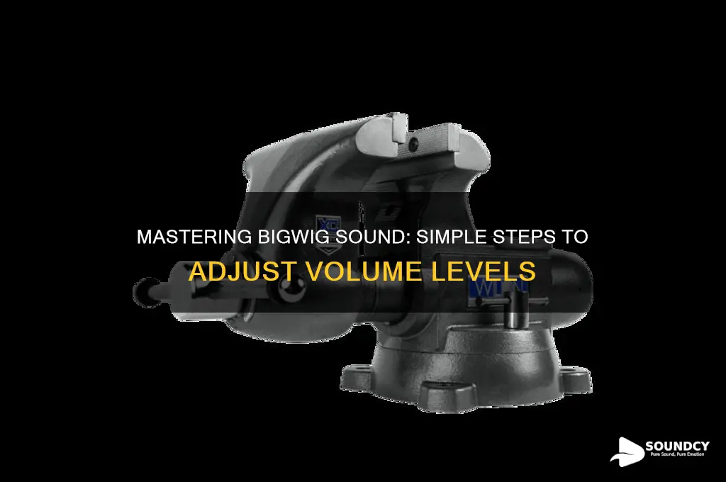 how to adjust bigwig sound volume