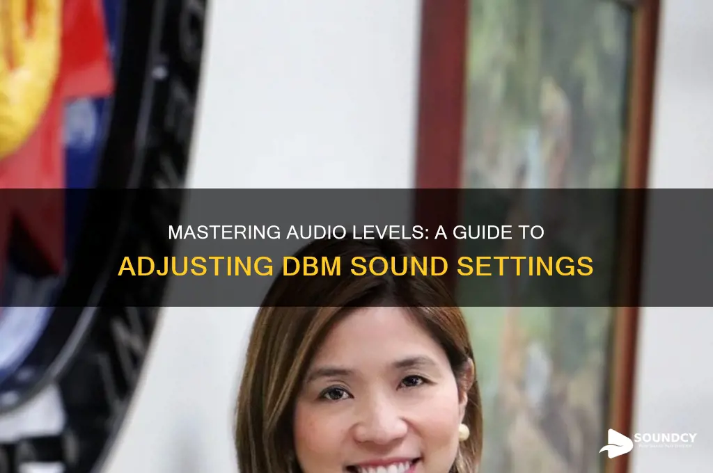 how to adjust dbm sound