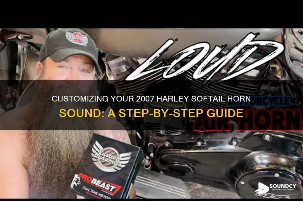 how to adjust horn sound on 2007 harley softail