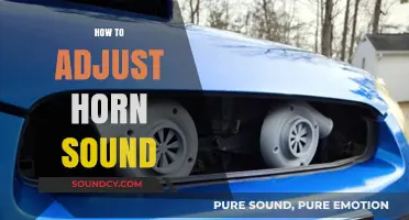 Mastering Your Vehicle's Horn: Tips to Customize and Adjust Sound