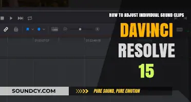 Mastering Audio Editing: Adjusting Individual Sound Clips in DaVinci Resolve 15