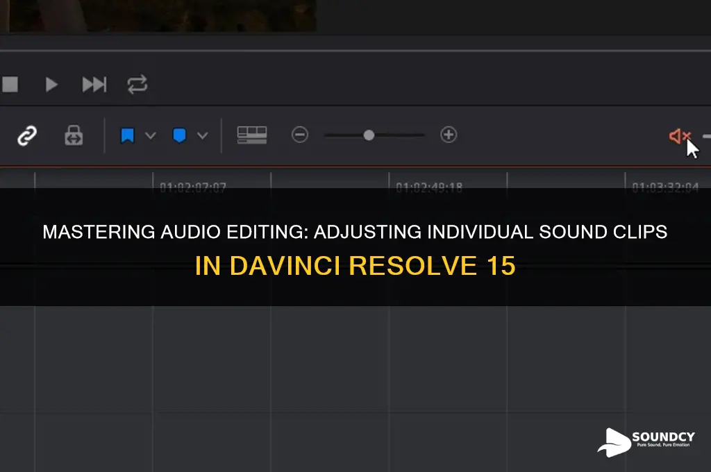 how to adjust individual sound clips davinci resolve 15