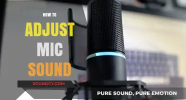 Mastering Mic Settings: A Step-by-Step Guide to Perfect Sound Adjustment