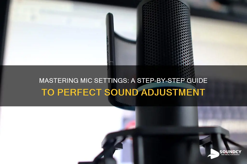 how to adjust mic sound