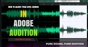 Mastering Peak Levels: Adjusting Loud Sounds in Adobe Audition