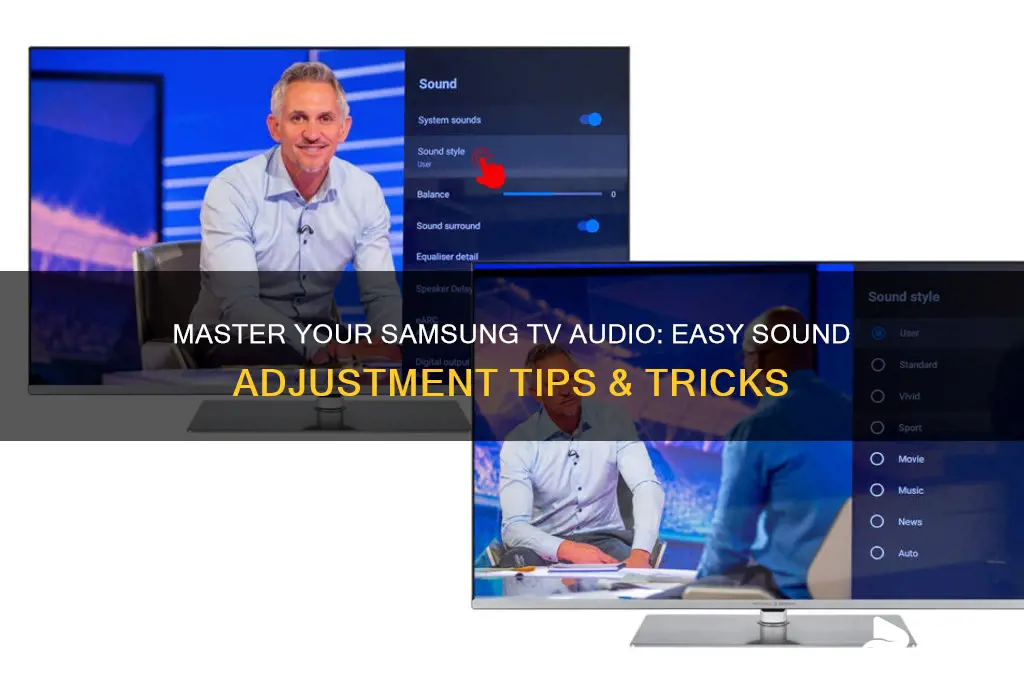 how to adjust samsung tv sound