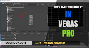 Fixing Audio Sync Issues in Vegas Pro: A Step-by-Step Guide