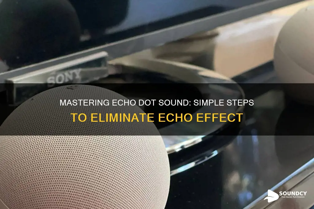 how to adjust sound echo dot