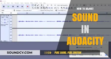 Mastering Audio Editing: Adjusting Sound Levels in Audacity Easily