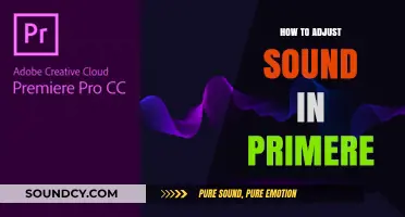 Mastering Audio: Adjusting Sound Levels in Premiere Pro Easily