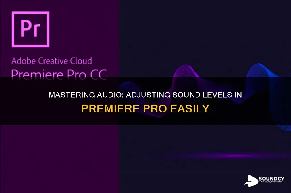 how to adjust sound in primere