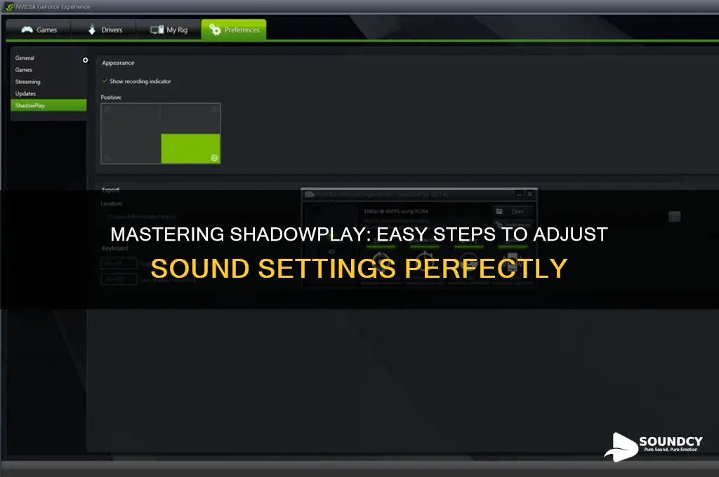 how to adjust sound in shadowplay