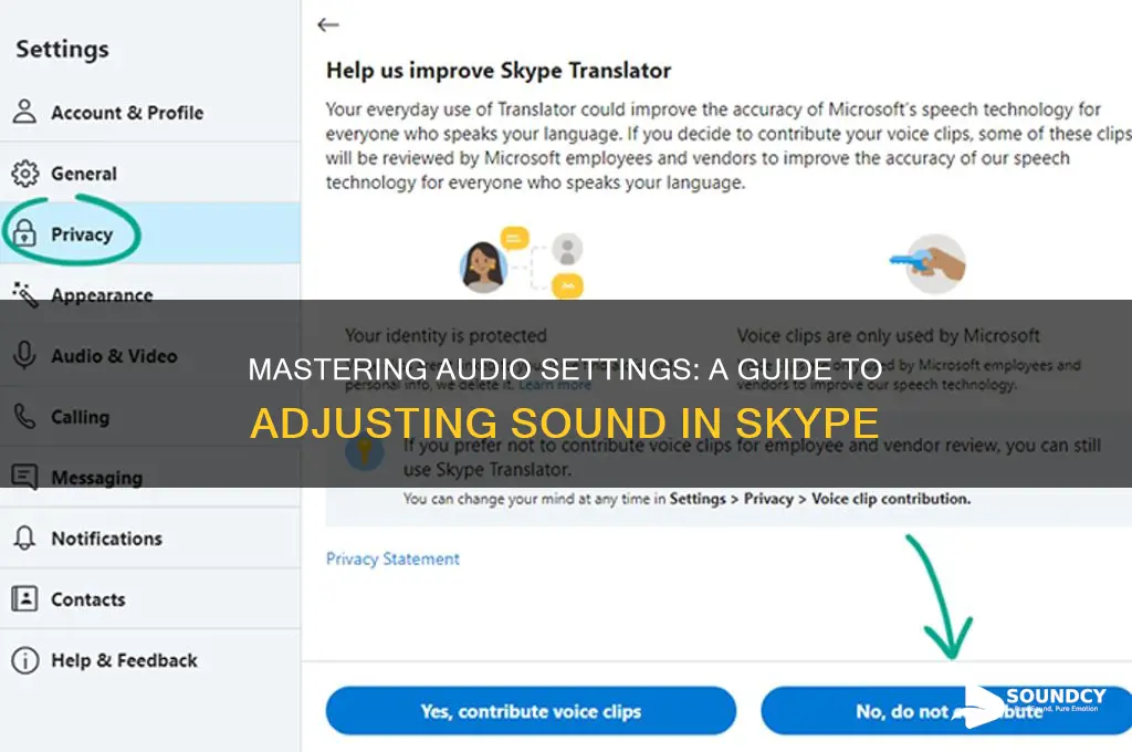 how to adjust sound in skype