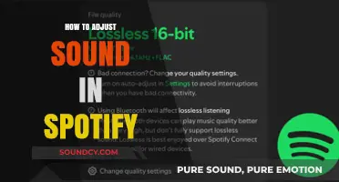 Master Spotify Sound Settings: Easy Tips to Adjust Audio Levels
