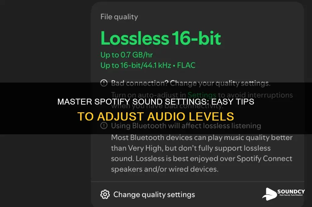 how to adjust sound in spotify