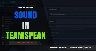 Mastering TeamSpeak Audio: Easy Steps to Adjust Sound Settings