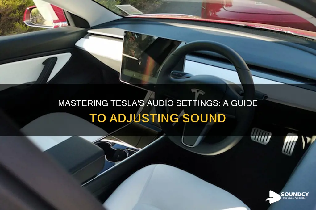 how to adjust sound in tesla