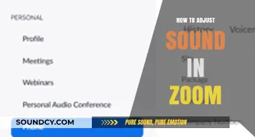 Mastering Zoom Audio: Simple Steps to Adjust Sound Settings