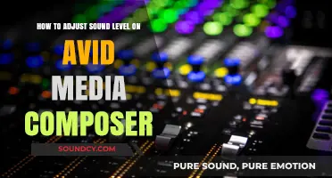 Mastering Audio: Adjust Sound Levels in Avid Media Composer Easily