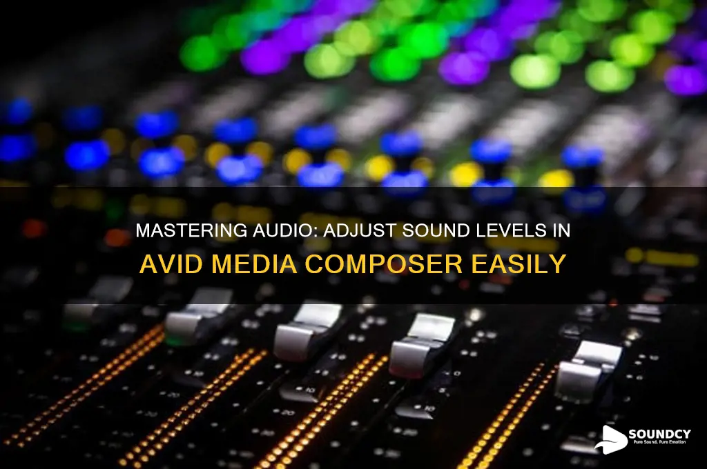 how to adjust sound level on avid media composer