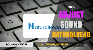 Mastering NaturalReader: Tips to Adjust Sound for Authentic Speech