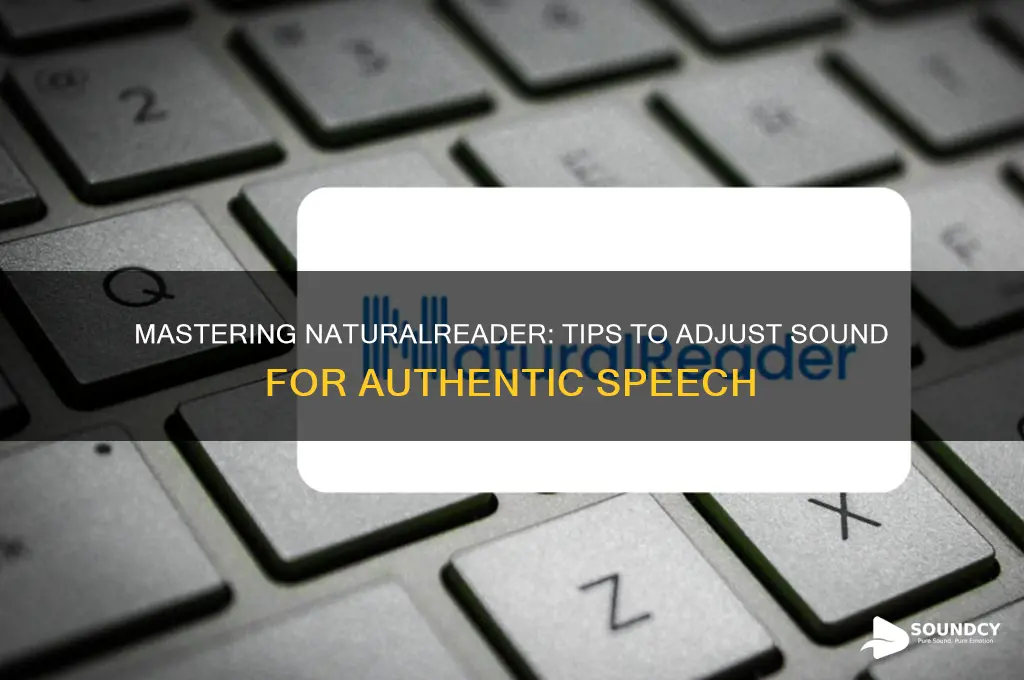 how to adjust sound naturalreaders