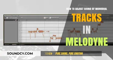 Mastering Track-Specific Sound Adjustments in Melodyne: A Comprehensive Guide