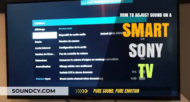 Mastering Audio Settings: Adjusting Sound on Your Smart Sony TV