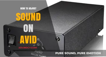 Mastering Audio Levels: A Guide to Adjusting Sound on Avid
