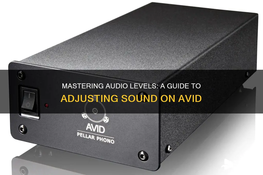 how to adjust sound on avid