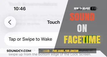 Mastering FaceTime Audio: Easy Steps to Adjust Sound Settings