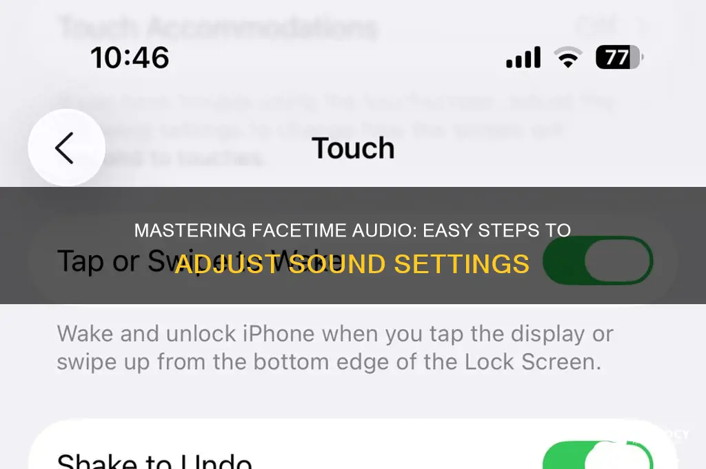 how to adjust sound on facetime
