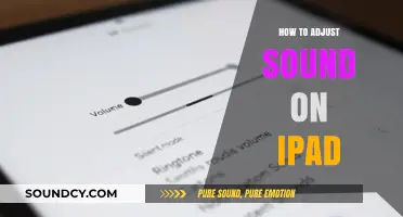 Adjusting Audio on Your iPad: A Simple Guide
