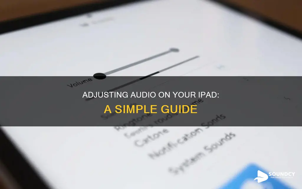 how to adjust sound on ipad