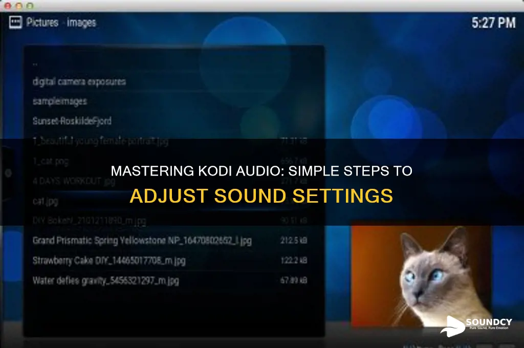 how to adjust sound on kodi