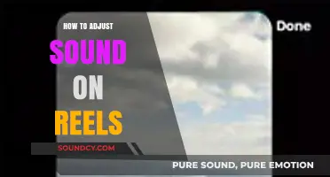 Mastering Audio: Easy Tips to Adjust Sound on Reels