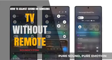 Adjusting Samsung TV Sound Without Remote: Quick and Easy Solutions