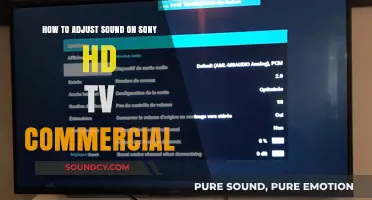 Mastering Audio Settings: Adjusting Sound on Your Sony HD TV