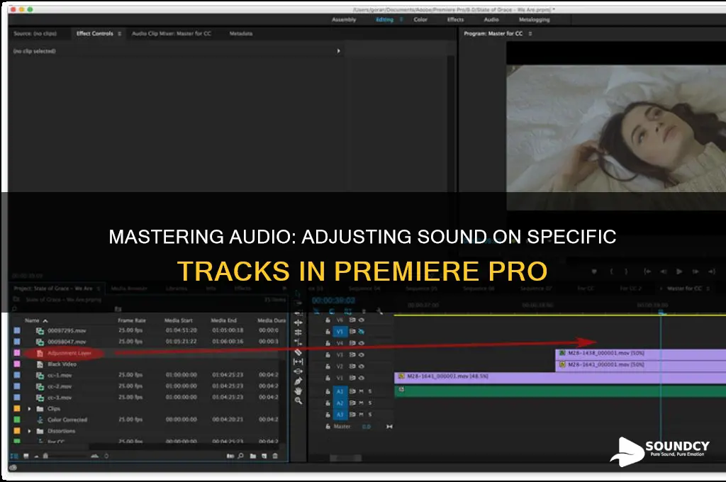 how to adjust sound on specific tracks in premiere